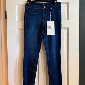 1822 Denim Wynter Skinny Jean